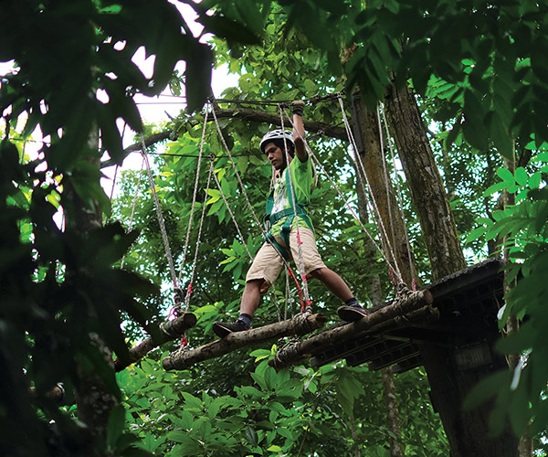 mountain-biking-treetop-activities